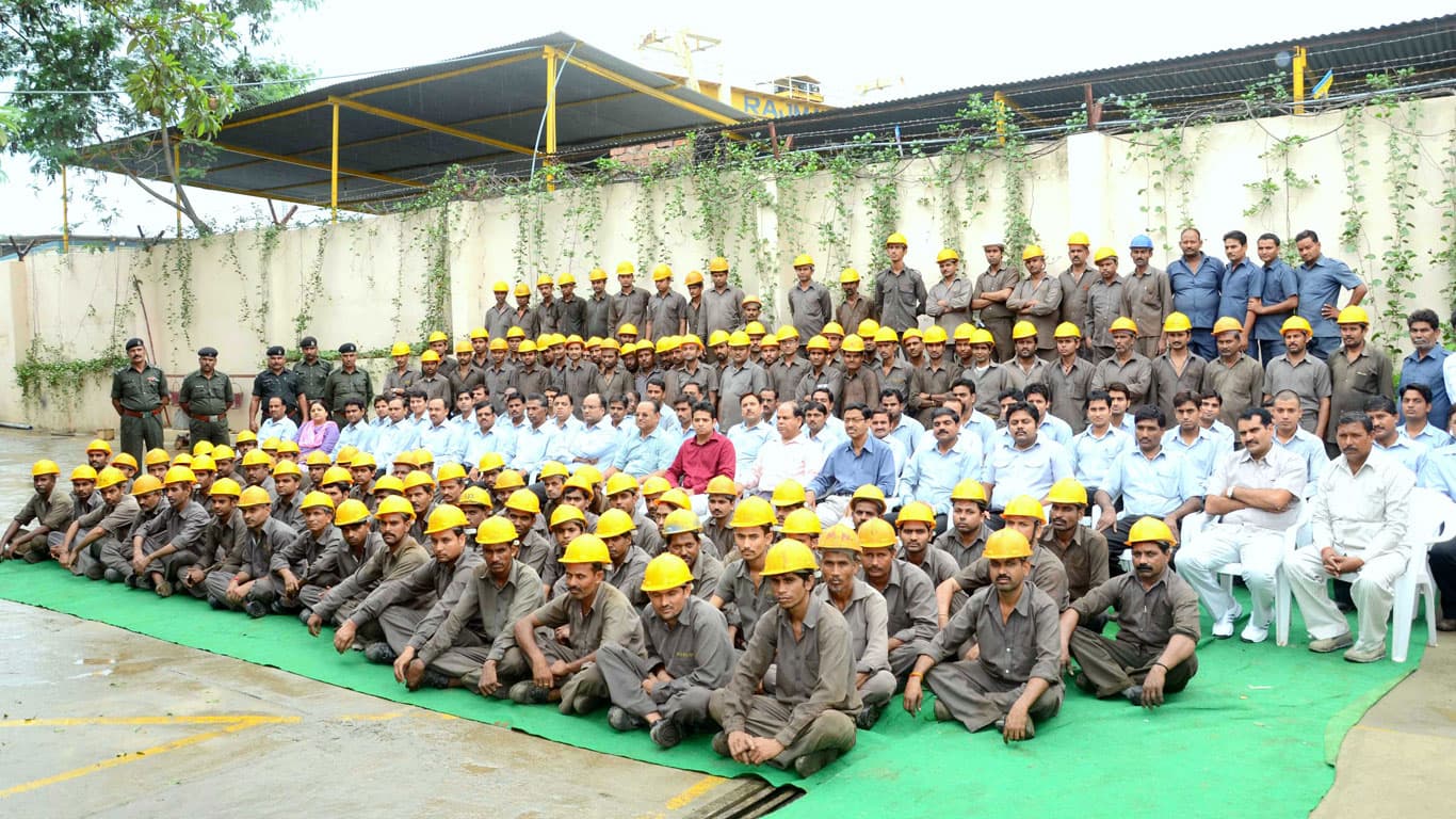 Heavy-Duty Crusher Assembly